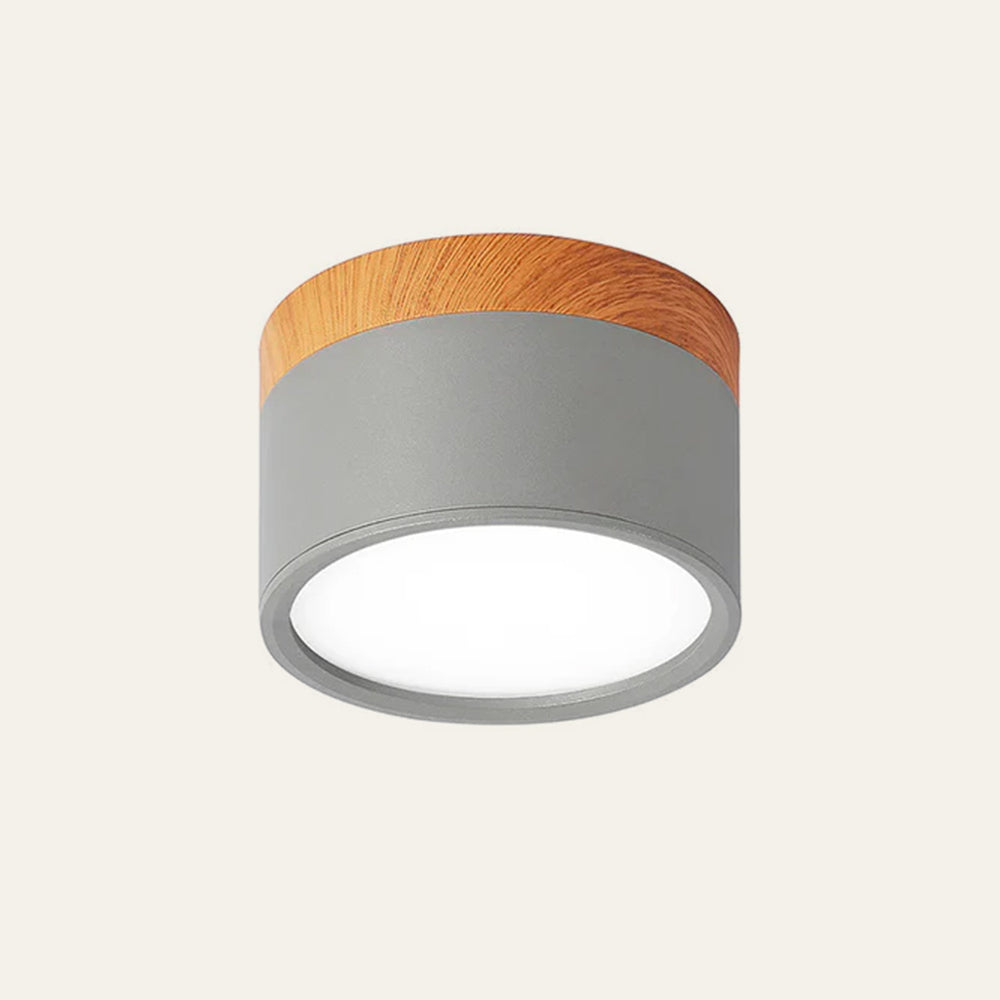 LumiFlush - Plafoniera da Soffitto Cilindrica