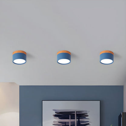 LumiFlush - Plafoniera da Soffitto Cilindrica