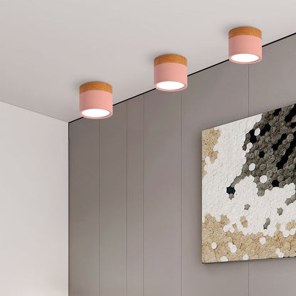 LumiFlush - Plafoniera da Soffitto Cilindrica