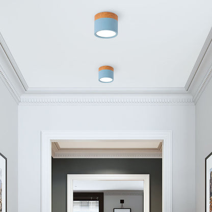 LumiFlush - Plafoniera da Soffitto Cilindrica