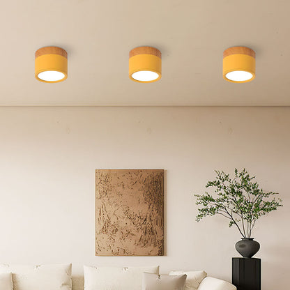 LumiFlush - Plafoniera da Soffitto Cilindrica