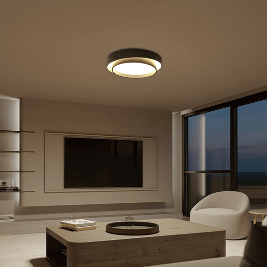 Plafoniera LED a forma di disco FLINT